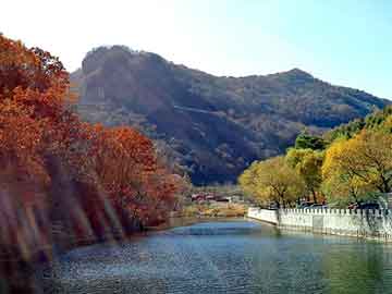 澳门期期准免费精准，河北省图书馆首页